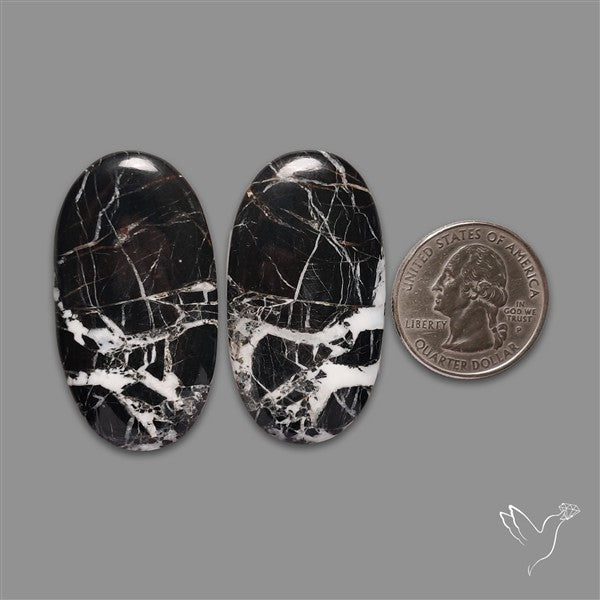 Large White Buffalo Turquoise Pair