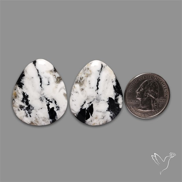 Large White Buffalo Turquoise Pair