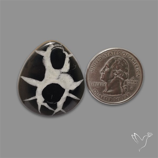 Black Septarian Cabochon