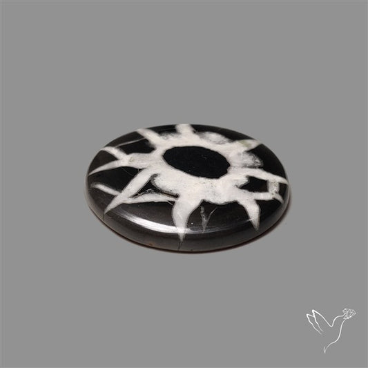 Black Septarian Cabochon