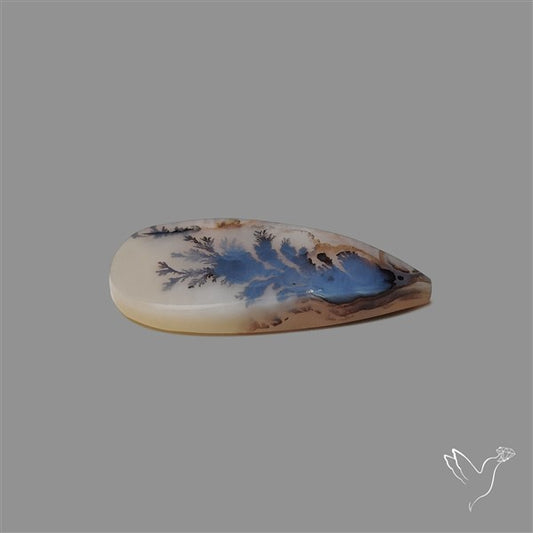 Scenic Agate Cabochon