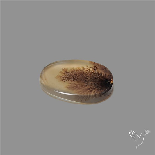 Scenic Agate Cabochon