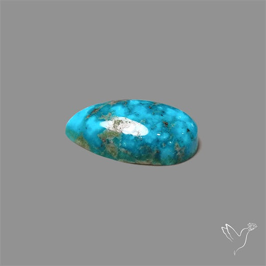 Morenci Mines Turquoise Cabochon (backed)
