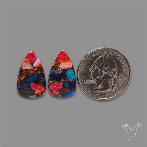 Spiny Oyster Mohave Turquoise Pair