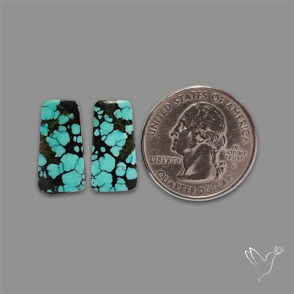 Hubei Turquoise Pair