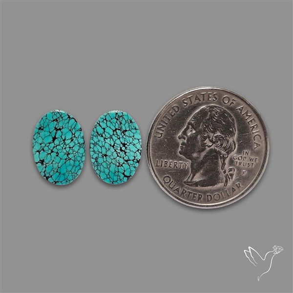 Hubei Turquoise Pair