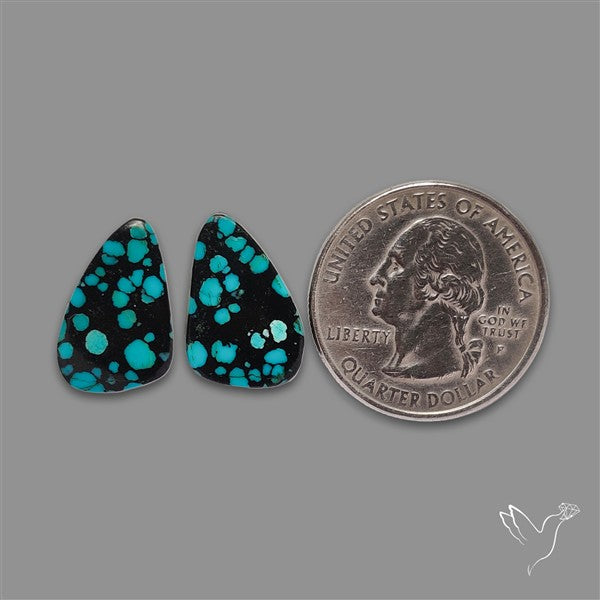 Hubei Turquoise Pair