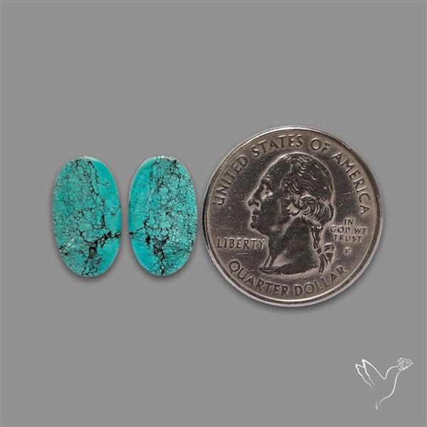 Hubei Turquoise Pair