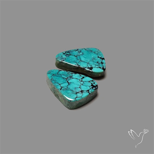 Hubei Turquoise Pair