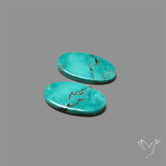 Hubei Turquoise Pair