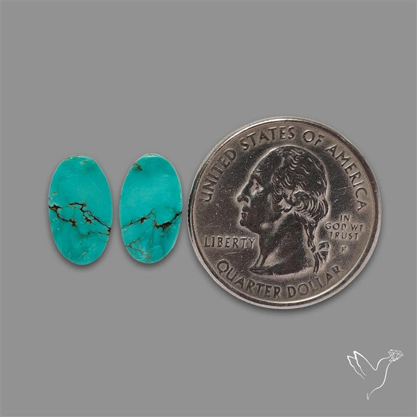 Hubei Turquoise Pair