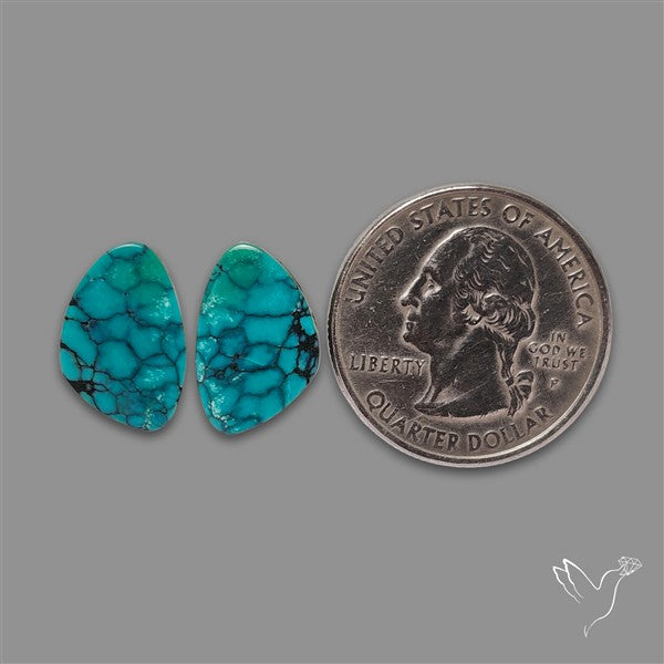 Hubei Turquoise Pair