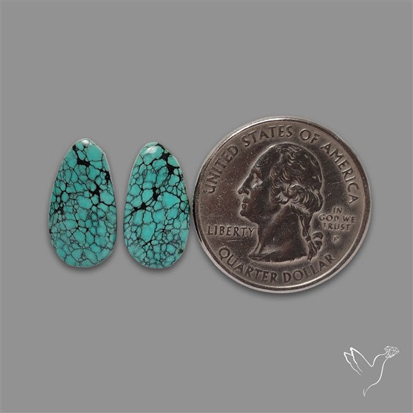 Hubei Turquoise Pair