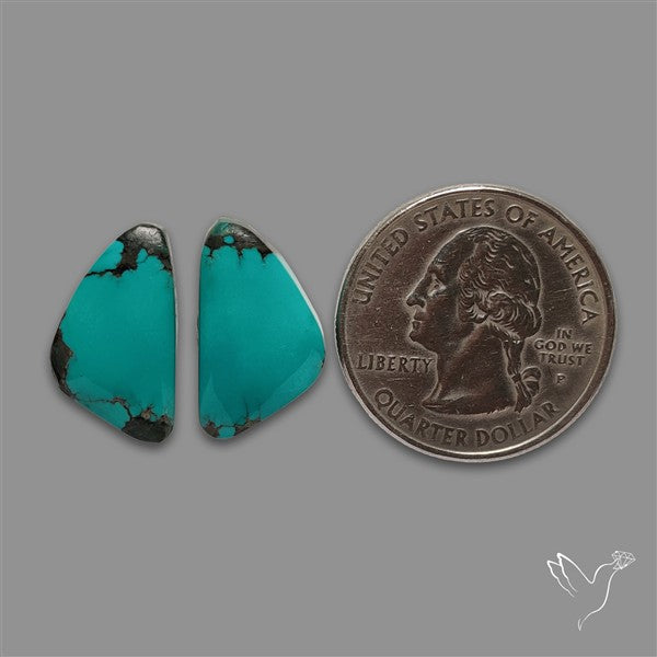 Hubei Turquoise Pair