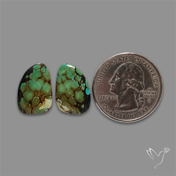 Hubei Turquoise Pair