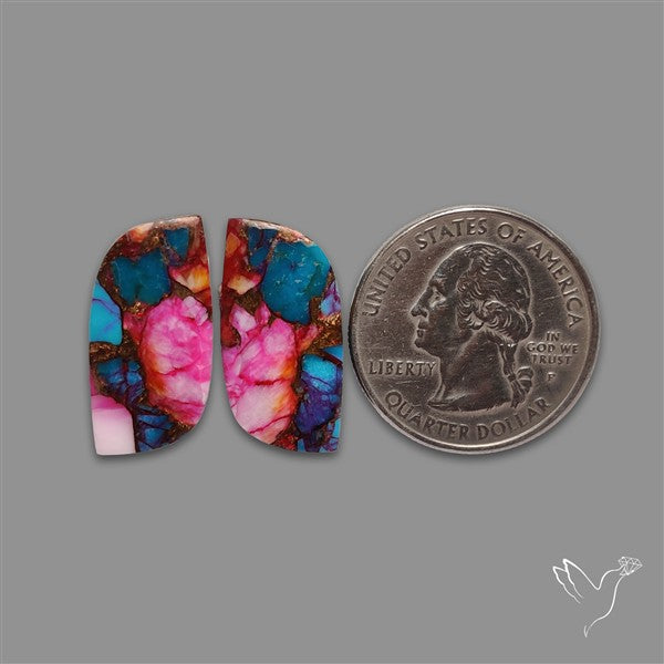 Spiny Oyster Mohave Turquoise Pair