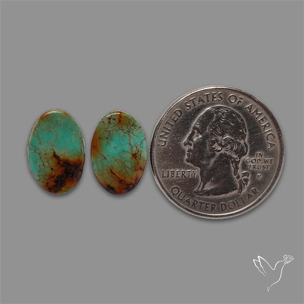 Royston Turquoise Pair