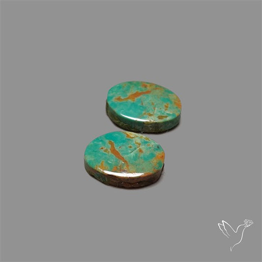 Royston Turquoise Pair