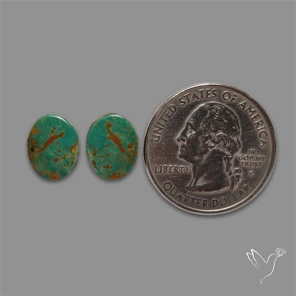 Royston Turquoise Pair