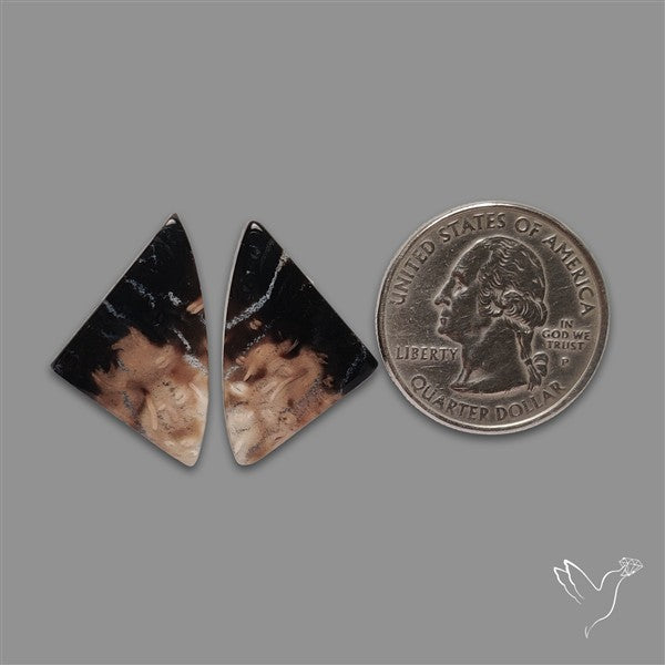 Indonesian Palmroot Agate Pair
