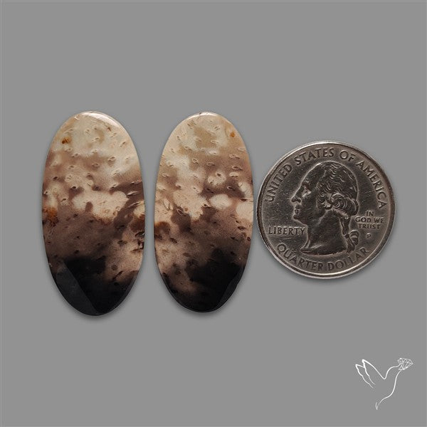Indonesian Palmroot Agate Pair