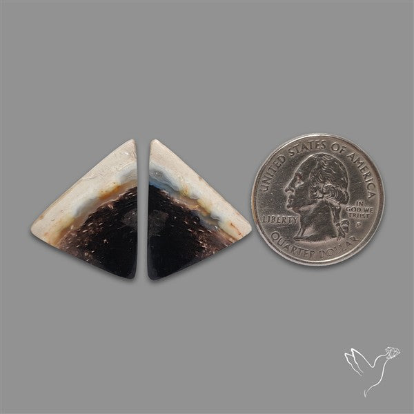 Indonesian Palmroot Agate Pair