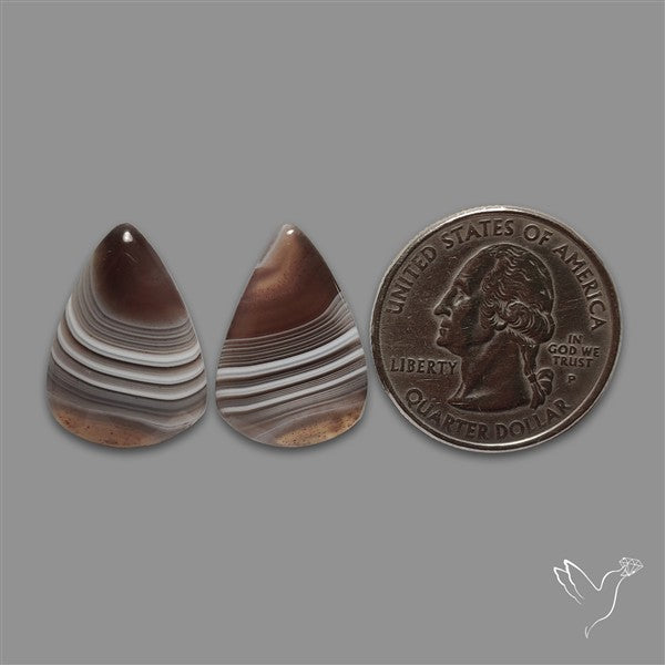 Botswana Agate Pair