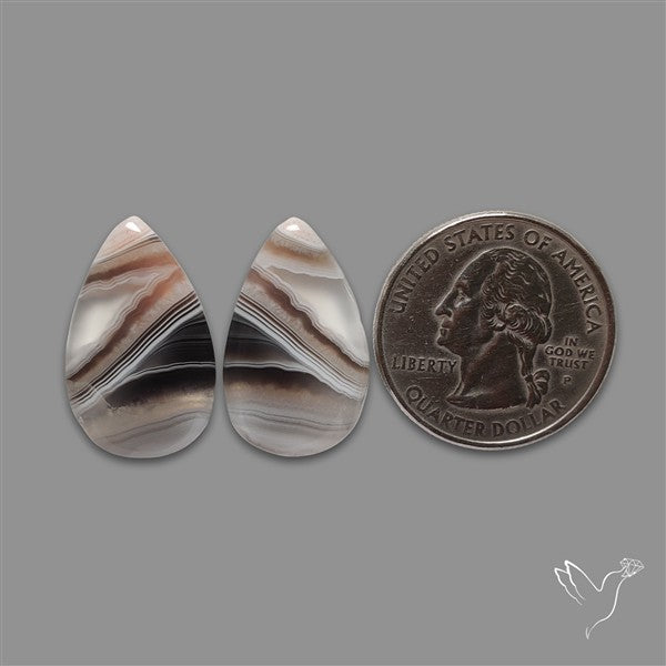 Botswana Agate Pair
