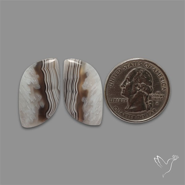 Botswana Agate Pair