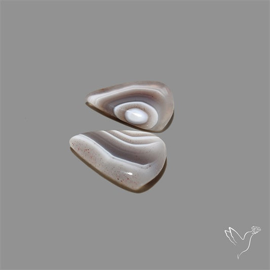Botswana Agate Pair