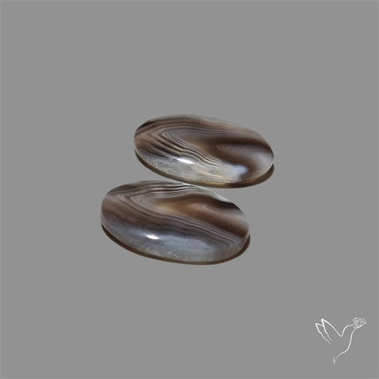 Botswana Agate Pair