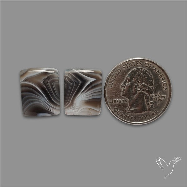Botswana Agate Pair