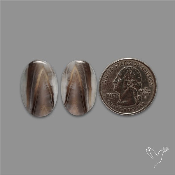Botswana Agate Pair