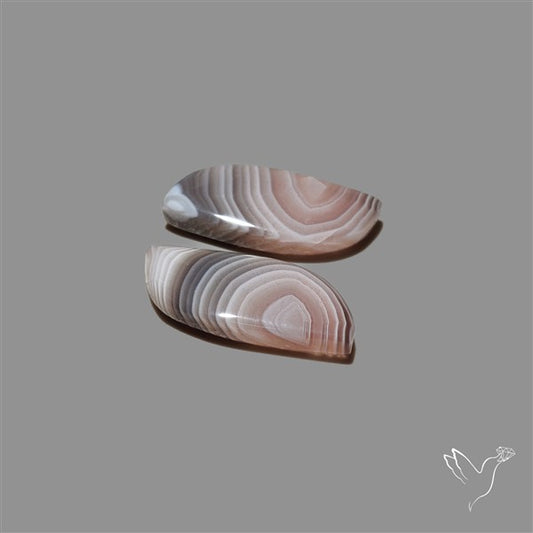 Botswana Agate Pair