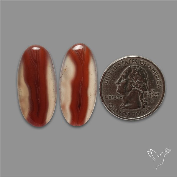 Botswana Agate Pair