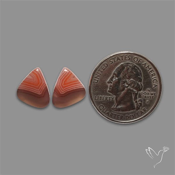 Botswana Agate Pair