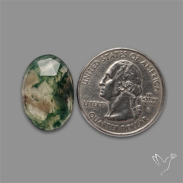 Rose Cut Moss Agate