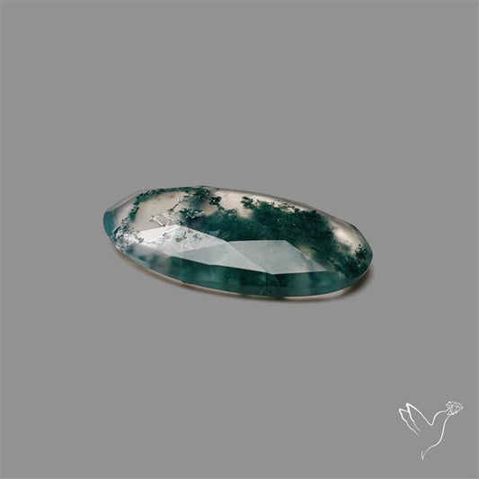 Rose Cut Moss Agate