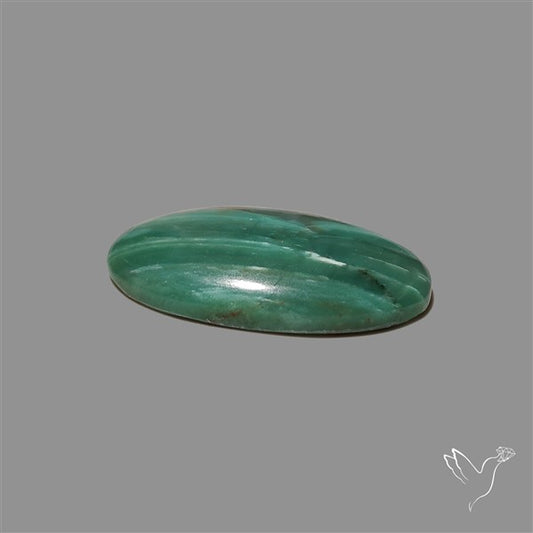 Larsonite Gary Green Jasper Cabochon