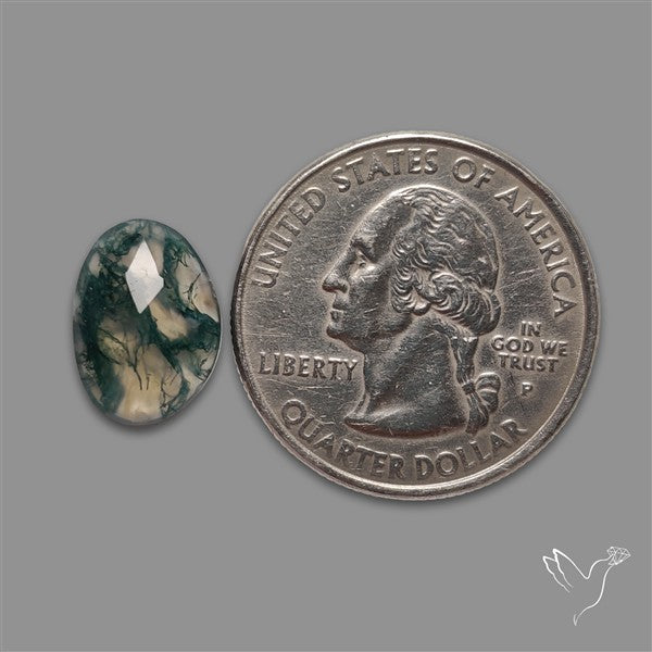 Rose Cut Moss Agate