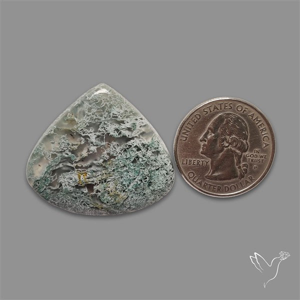 Horse Canyon Moss Agate Cabochon