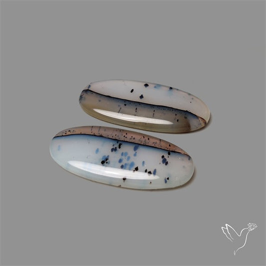 Montana Agate Pair
