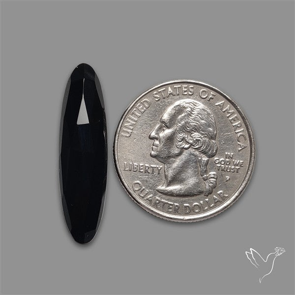 Rose Cut Black Onyx