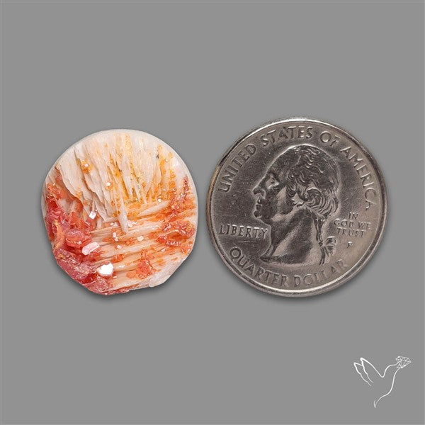 Rare Vanadinite Druzy