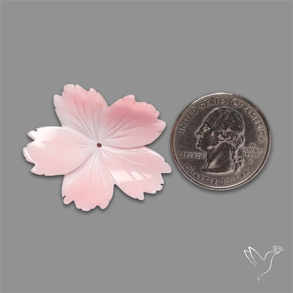 Pink Conch Shell Floral Carving (not flat backed)
