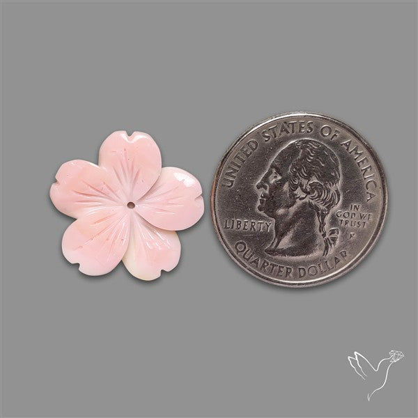 Pink Conch Shell Floral Carving (not flat backed)