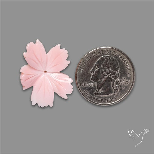 Pink Conch Shell Floral Carving (not flat backed)