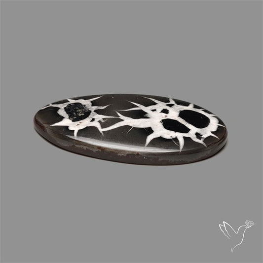 Black Septarian Fossil Cabochon