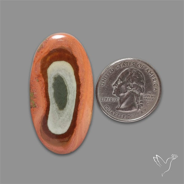 Polychrome Picture Jasper Cabochon Rare Spiral Pattern