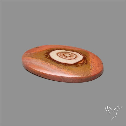 Polychrome Picture Jasper Cabochon Rare Spiral Pattern